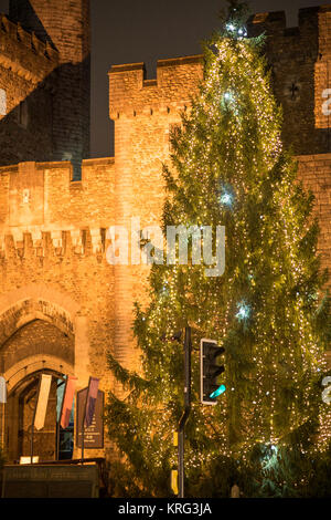 Viste di Cardiff Mercatino di Natale, Galles Foto Stock