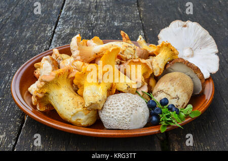 I funghi commestibili - Cantarelli, Cep, Blusher e Puffball e alcuni mirtilli nel rustico, piastra ceramica sul vecchio tavolo in legno di quercia Foto Stock