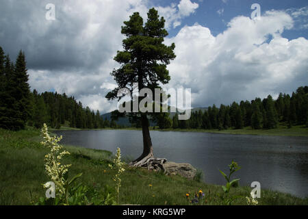 Der Schwarzsee ist ein Gebirgssee auf der Turracher Höhe an der Landesgrenze zwischen Kärnten und der Steiermark, Österreich. Foto Stock