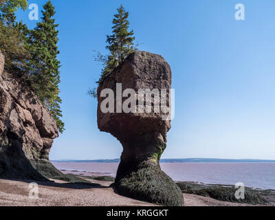 Vaso di fiori rocce, Hopewell Rocks, Baia di Fundy, New Brunswick, Canada. Foto Stock