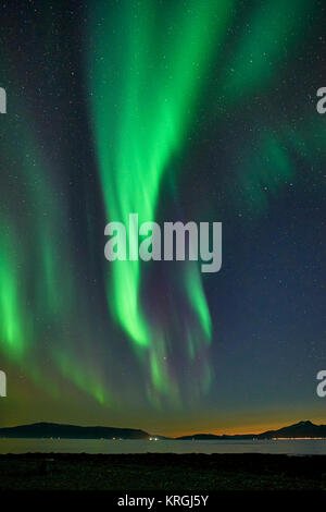 Aurora Boreale, luci del nord da Russelv, Lyngen, Troms, Norvegia Foto Stock