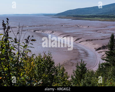 Daniel's appartamenti con la marea, Hopewell Rocks, Baia di Fundy, New Brunswick, Canada. Foto Stock