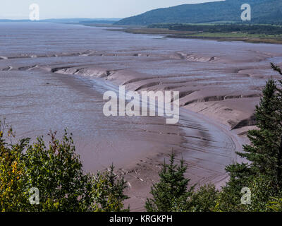 Daniel's appartamenti con la marea, Hopewell Rocks, Baia di Fundy, New Brunswick, Canada. Foto Stock