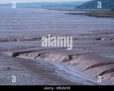 Daniel's appartamenti con la marea, Hopewell Rocks, Baia di Fundy, New Brunswick, Canada. Foto Stock