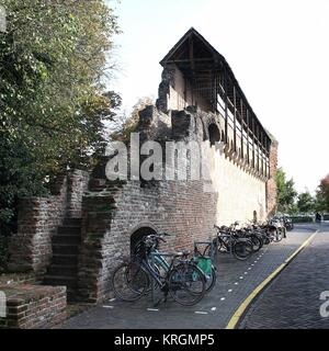 Un sacco di city bike parcheggiato a bastioni e mura medievali della città lungo Thorbeckegracht / Thorbecke canal, Zwolle, Paesi Bassi Foto Stock