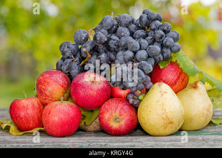 Frutti outdoor Foto Stock