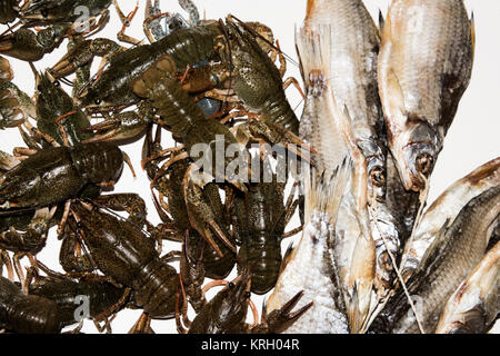 Pesce secco e gamberi vivi su sfondo bianco. Foto Stock