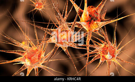 3D illustrazione di cellule neuronali. Foto Stock