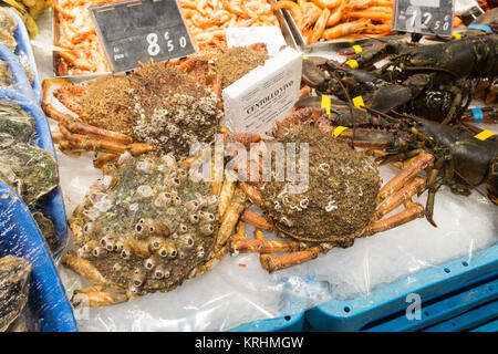 Piatti a base di frutti di mare freschi snow granchi, centollo vivo, gamberi, ostriche, aragoste in un supermercato spagnolo Foto Stock