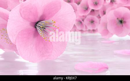 Sakura fiori. Cherry Blossom 3D render Foto Stock