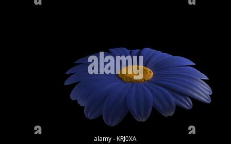 Abstract di blu fiore di gerbera 3D render Foto Stock