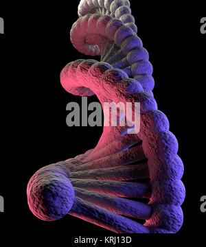 Molecola di DNA rosso blu nero Foto Stock