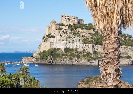 L antico Castello Aragonese ("Castello Aragonese") e un esotico Palm tree a Ischia Ponte, Italia Foto Stock