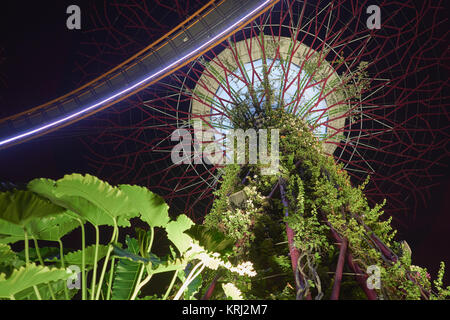 Primo piano di notte di un gigantesco albero artificiale nel Supertree Grove dei giardini dalla Baia - Marina Bay Sands, Singapore Foto Stock