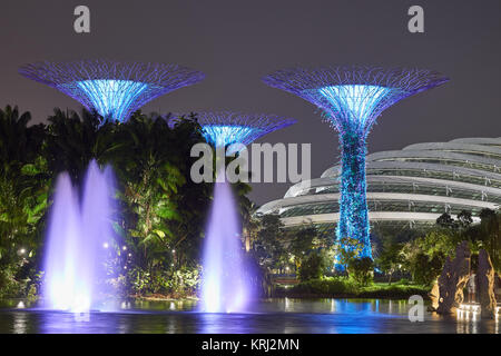 Cupola di fiori con il gigante di alberi artificiali di notte nei giardini della baia - Marina Bay Sands, Singapore Foto Stock