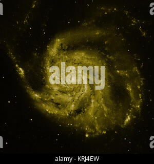 Il giallo è il colore del Hubble vista in luce visibile. La maggior parte di questa luce viene da stelle e tracciano la stessa struttura a spirale come la polvere corsie. Messier 101 (componente gialla, catturate dal Telescopio Spaziale Hubble) Foto Stock