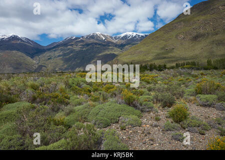 Paesaggio della Valle Chacabuco in Patagonia settentrionale, Cile Foto Stock