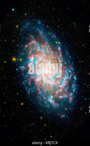 Questa immagine è una miscela di Galaxy Evolution Explorer's M33 immagine e un altro prese dalla NASA il telescopio spaziale Spitzer. M33, uno dei nostri più stretti galactic vicini, è di circa 2.9 milioni di anni luce di distanza nella costellazione Triangulum, parte di ciò che è noto come il nostro gruppo locale di galassie. Insieme, l'evoluzione di Galaxy Explorer e Spitzer può vedere un ampio spettro di sky. Spitzer, per esempio, è in grado di rilevare la metà di radiazione infrarossa da polvere che ha assorbito le giovani stelle' luce ultravioletta. Questo è qualcosa che il Galaxy Evolution Explorer non riesce a vedere. Questa immagine combinata mostra con dettagli sorprendenti bea Foto Stock