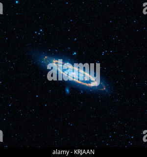 Saggi di Andromeda Foto Stock