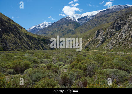 Paesaggio della Valle Chacabuco in Patagonia settentrionale, Cile Foto Stock