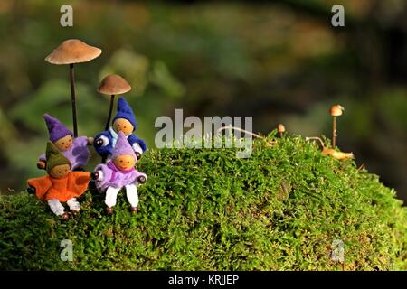 quattro gnomi sono seduti nel muschio sotto i funghi Foto Stock