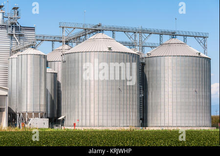 Silos di stoccaggio per i prodotti agricoli (cereali) prodotti Foto Stock