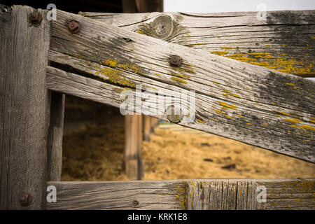 Recinzione nodosi Gate Farm Barn a grana di legno Moss Foto Stock