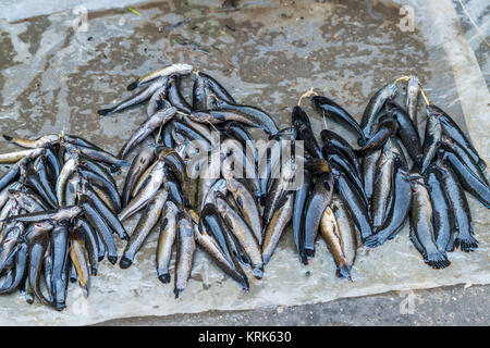 Pesce fresco con foglie di banano al mercato locale in Asia city. Foto Stock