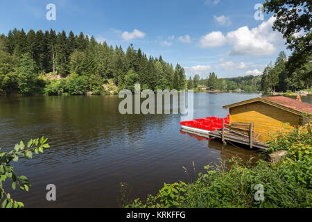 Su ebnisee kaisersbach in Baden-wÃ¼rttemberg,germania Foto Stock