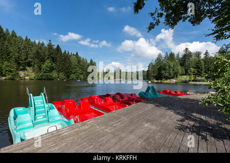 Su ebnisee kaisersbach in Baden-wÃ¼rttemberg,germania Foto Stock