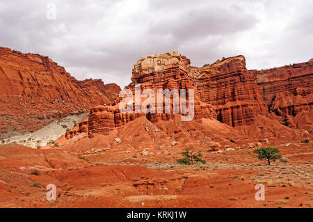 Il Camino rock area di Capital Reef National Park nello Utah Foto Stock