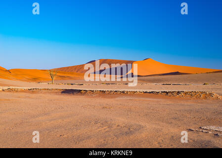 Le dune di sabbia del deserto del Namib all'alba, roadtrip nel meraviglioso Namib Naukluft National Park, meta di viaggio in Namibia, Africa. Foto Stock