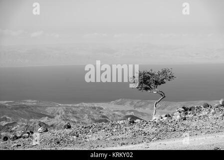 Una vista del Golfo di Tadjoura da Arta, Gibuti, Africa Orientale in bianco e nero Foto Stock