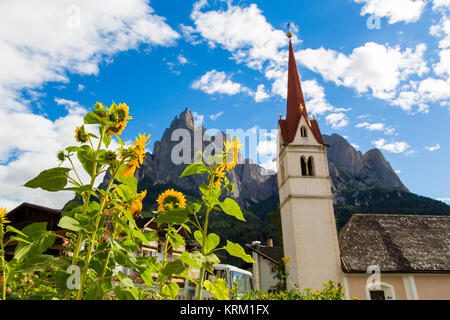 Alpe di Siusi Sciliar, IT- Settembre 19. Botton vista della Basilica di Santa Maria Assunta con girasoli in primo piano e Alpe di Siusi sullo sfondo Foto Stock