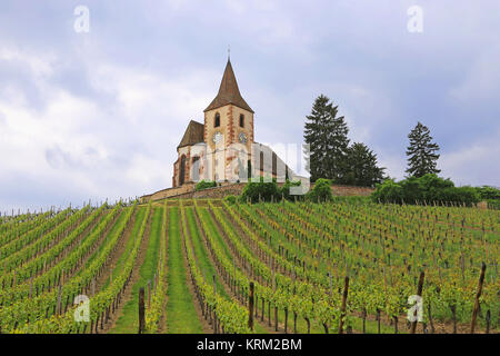 La chiesa fortificata di hunawihr in Alsace Foto Stock