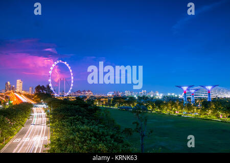 Serata di Singapore. Il traffico su strada, Super-Trees in giardini dalla baia e fulmini sopra il Singapore Flyer Foto Stock