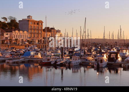 Golden luce della sera su Torquay Harbour, guardando verso Victoria Parade. Torquay, South Devon, Regno Unito. Dicembre 2017. Foto Stock