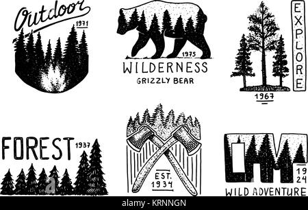 La foresta di conifere, montagne e logo in legno. camping e natura selvaggia. paesaggi con alberi di pino e colline. emblema o il badge, tenda turistico, orso bruno, viaggi per etichette vintage. incisi disegnati a mano. Illustrazione Vettoriale