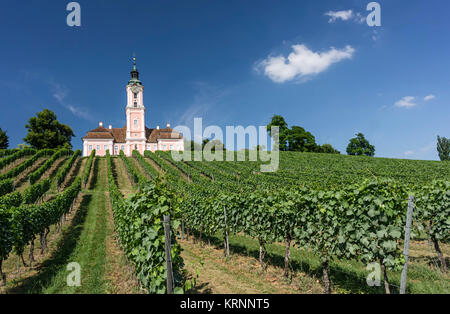 Chiesa di pellegrinaggio, Birnau Il Lago di Costanza - Germania Foto Stock