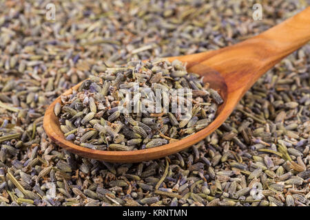 Lavanda essiccata tè organici Foto Stock