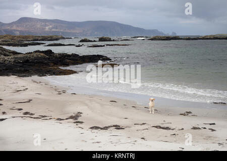 Viaggi e foto di paesaggi fom Donegal, Irlanda Foto Stock