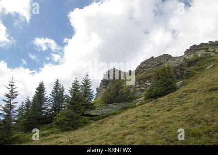 Conifere e rocce sul verde erba marrone su un alpeggio di fronte cielo nuvoloso sul weinebene koralpe in Stiria Foto Stock