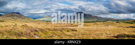 Vista su bog verso il Twelve Bens (Beanna Beola) la gamma della montagna di Connemara, al di fuori del villaggio di Letterfrack, nella contea di Galway, Irlanda Foto Stock