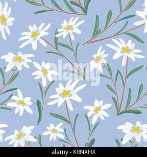 Edelweiss pattern senza giunture Foto Stock