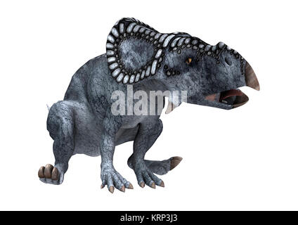 3D Rendering dinosauro Protoceratops su bianco Foto Stock