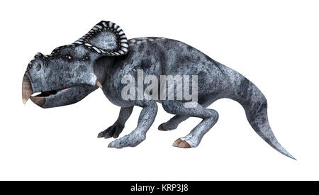 3D Rendering dinosauro Protoceratops su bianco Foto Stock