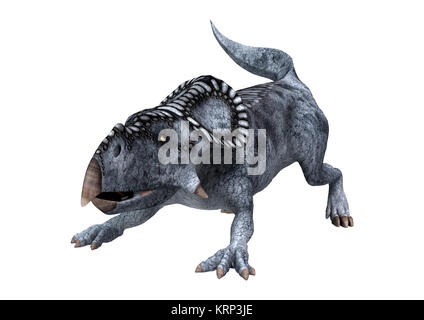 3D Rendering dinosauro Protoceratops su bianco Foto Stock