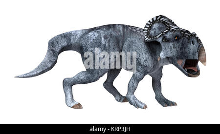 3D Rendering dinosauro Protoceratops su bianco Foto Stock