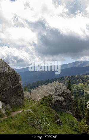 Conifere e rocce sul verde erba marrone su un alpeggio di fronte cielo nuvoloso sul weinebene koralpe in Stiria Foto Stock