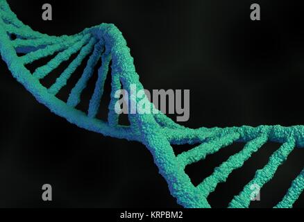 Molecola di DNA di struttura. 3d illustrazione Foto Stock